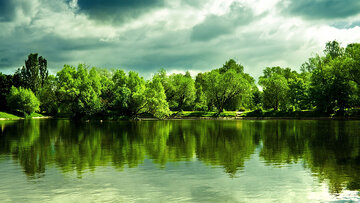 گزارش تصویری