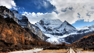 گزارش تصویری
